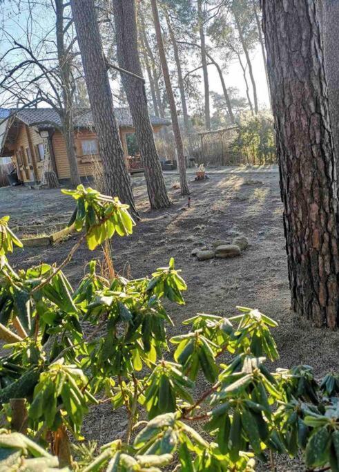 Willa Haus Clemens - Gemuetliches Holzhaus Mit Grundstueck Königs Wusterhausen Zewnętrze zdjęcie