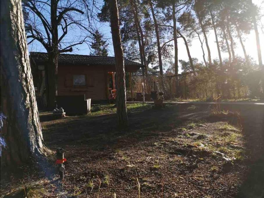 Willa Haus Clemens - Gemuetliches Holzhaus Mit Grundstueck Königs Wusterhausen Zewnętrze zdjęcie