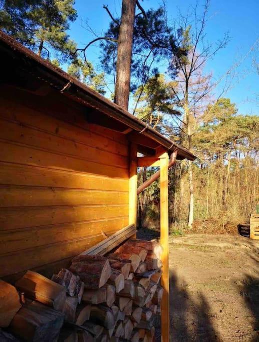 Willa Haus Clemens - Gemuetliches Holzhaus Mit Grundstueck Königs Wusterhausen Zewnętrze zdjęcie